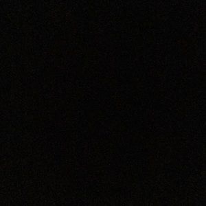 Meet your Posher, Brady